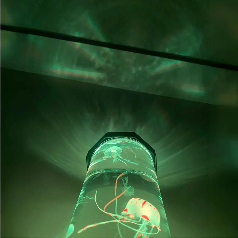 The Jelly Aurora Lamp